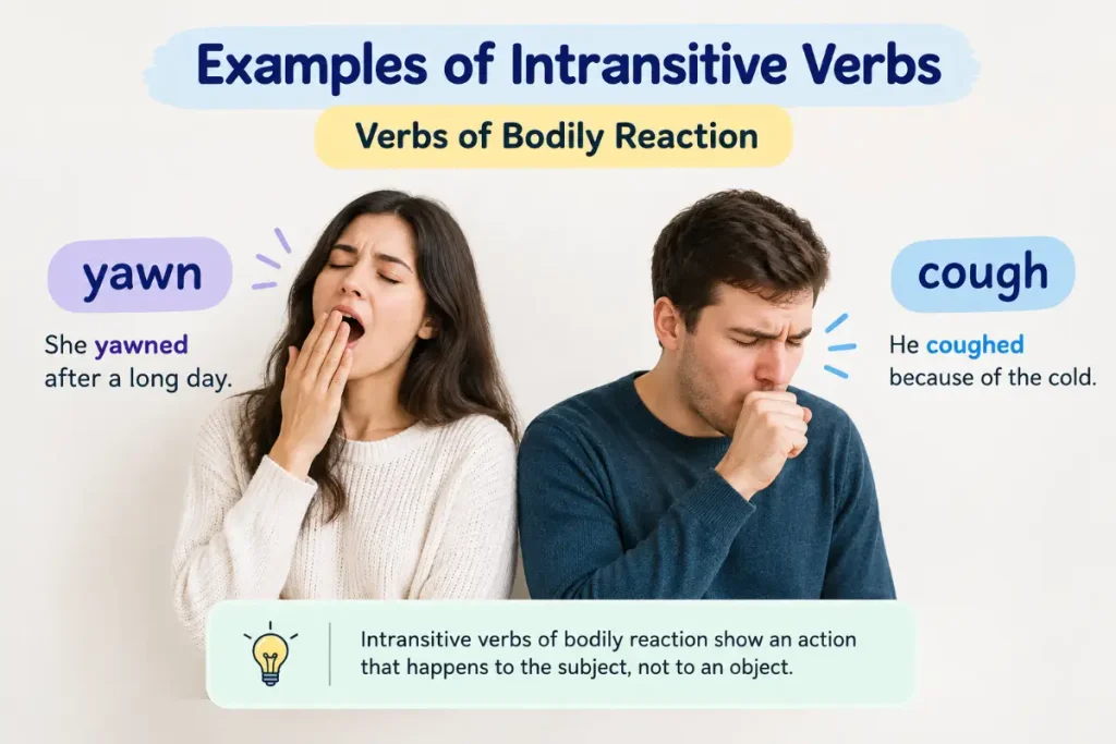 Examples of Intransitive Verbs showing bodily reactions like yawning and coughing.